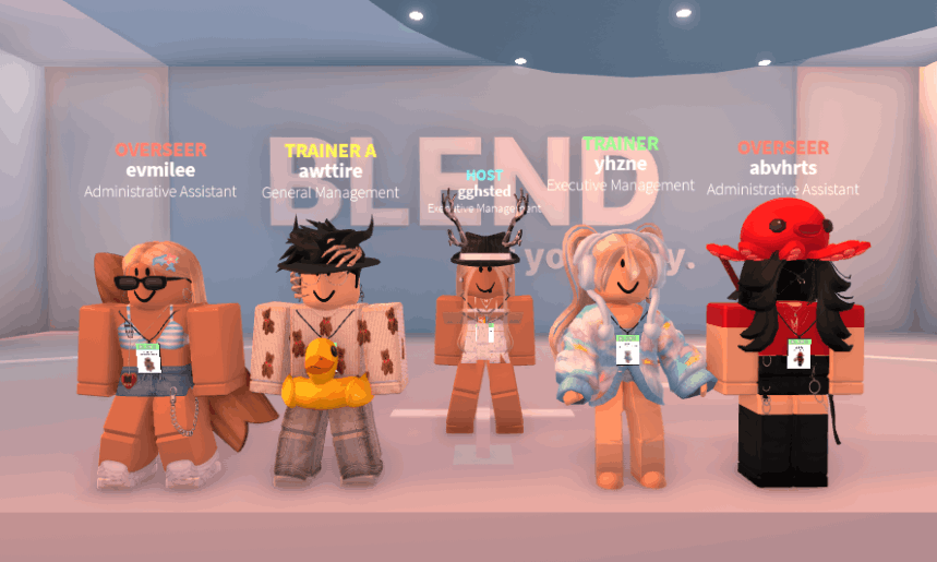 Overseers: The Roblox Group That Never Was 